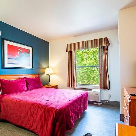 Sierra Vista Studio Apartment With Full Kitchen And King Bed Luaran gambar